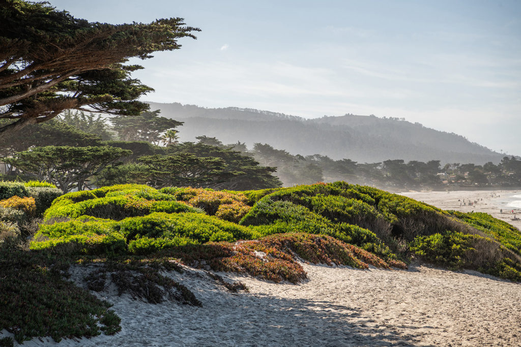 Carmel by the Sea Beach