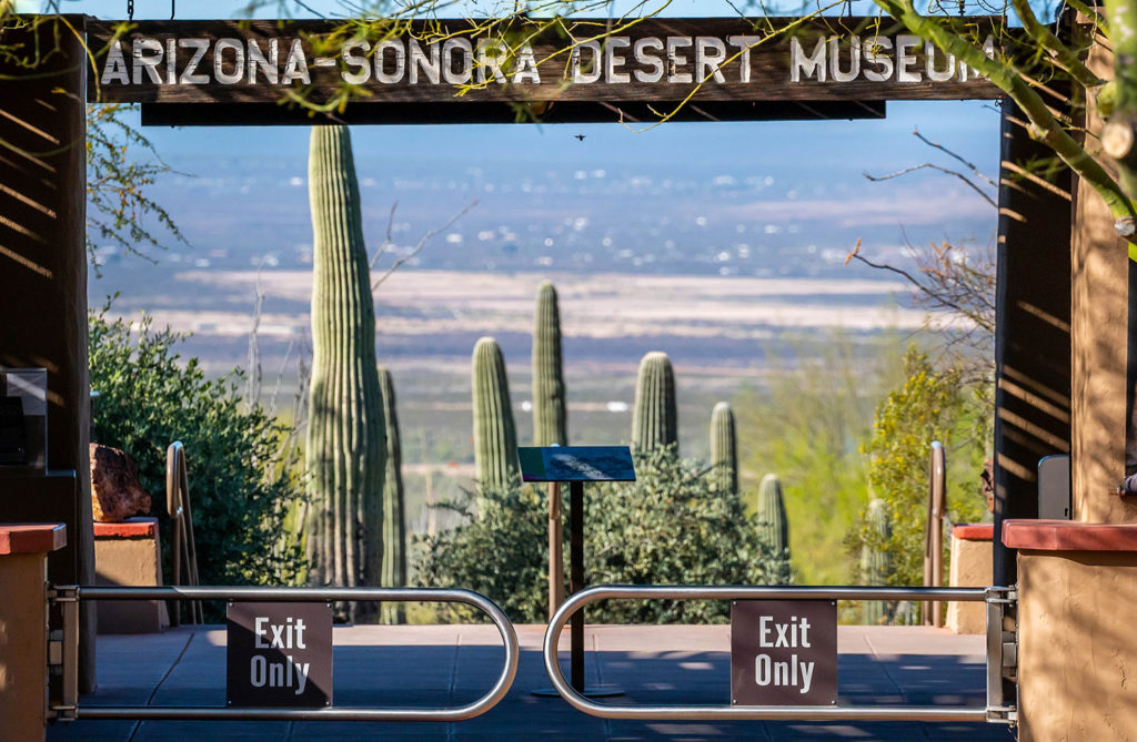 Arizona Sonora Desert Museum