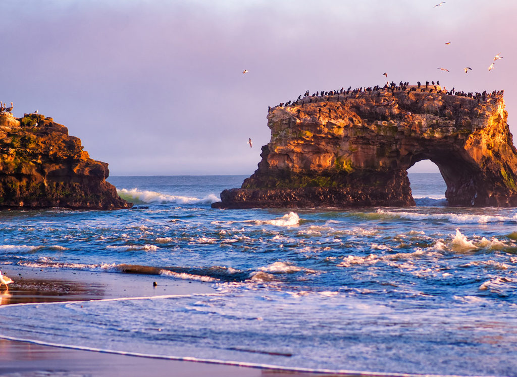 Natural Bridges State Beach