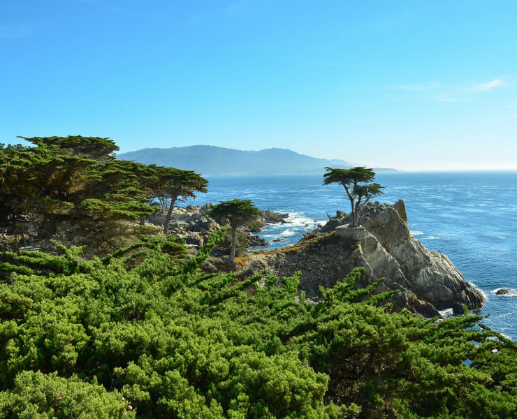 17 Mile Drive