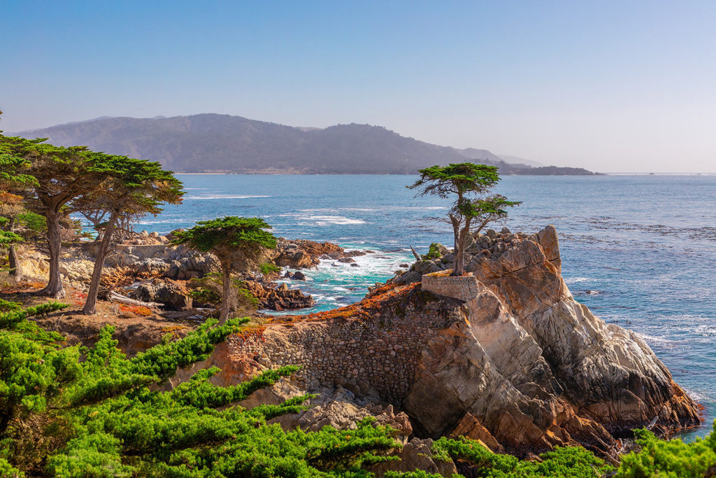 Lone cypress 17-Mile Drive