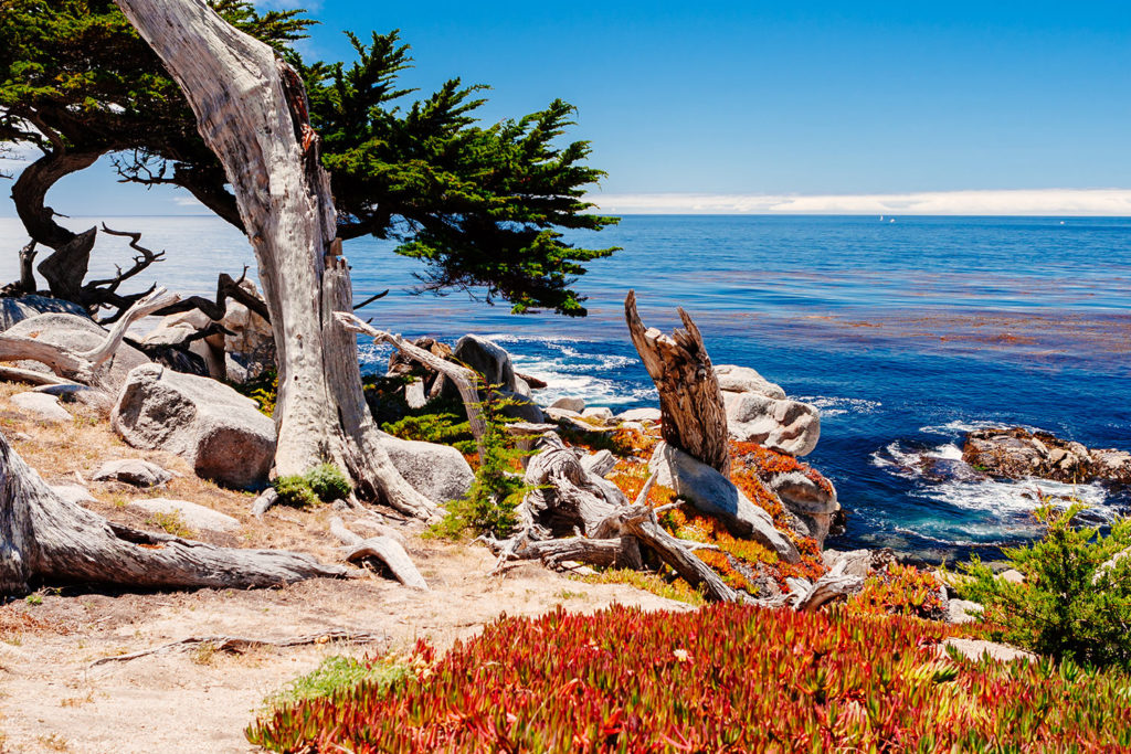 Pescadero Point 17-Mile Drive