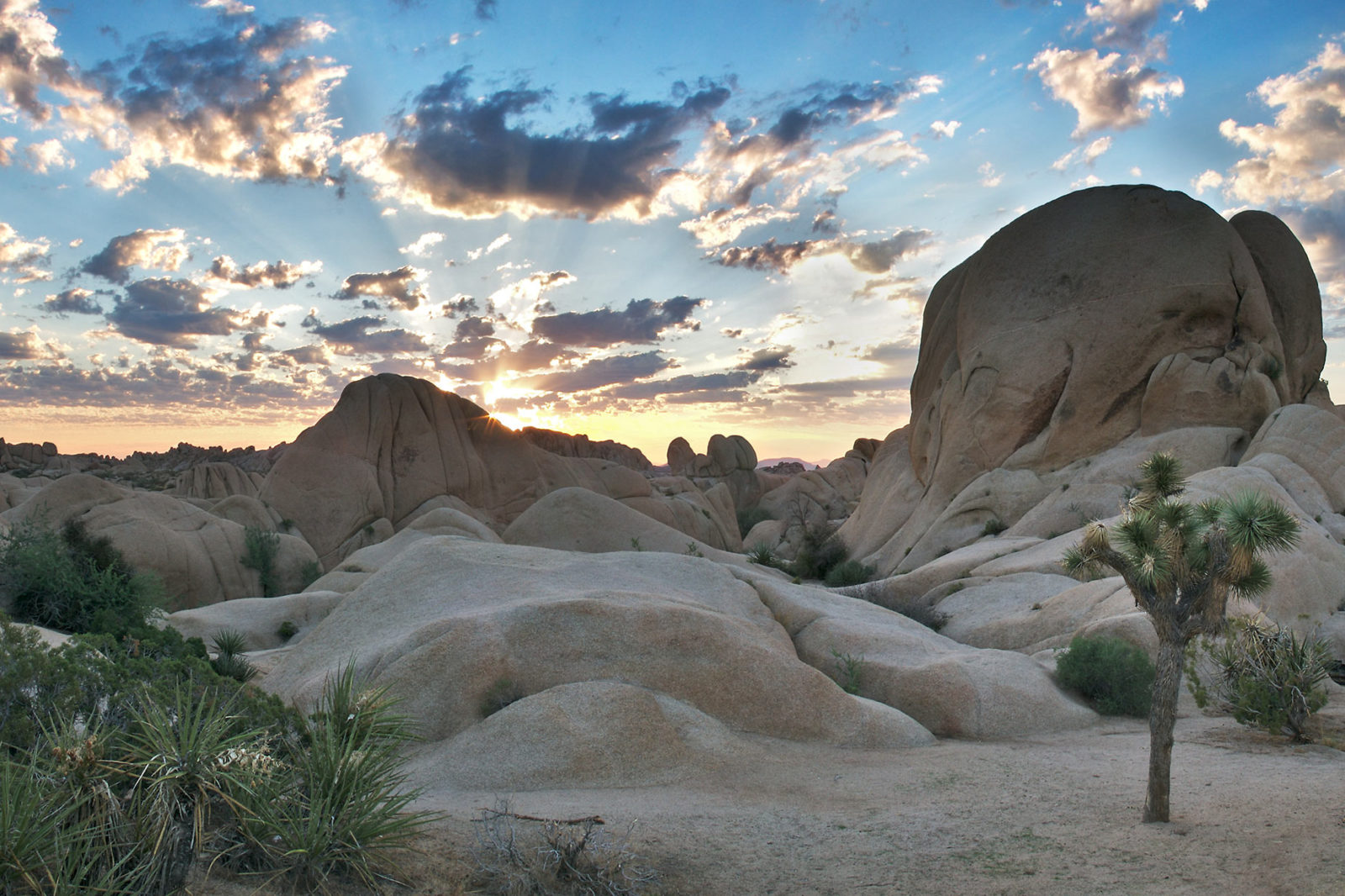 eco vriendelijke bestemmingen in Amerika Joshua Tree National Park