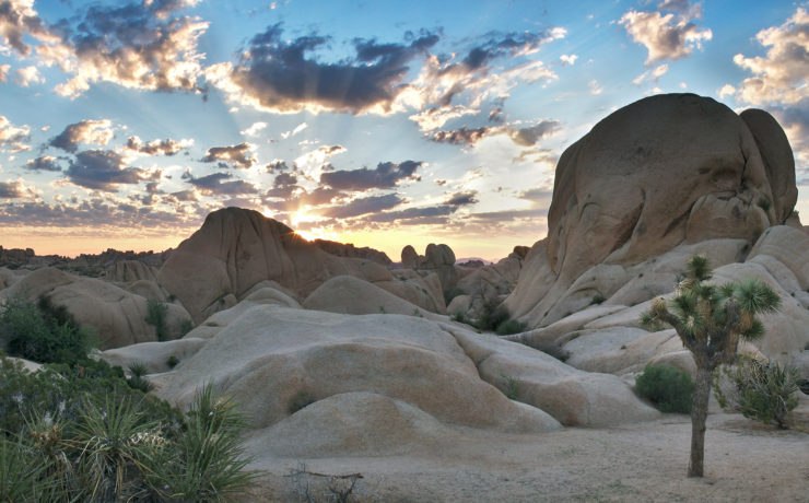 eco vriendelijke bestemmingen in Amerika Joshua Tree National Park