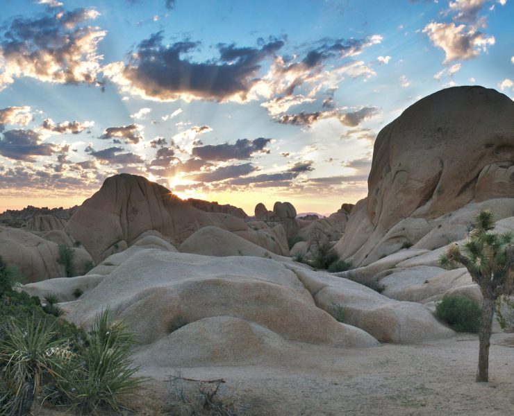 eco vriendelijke bestemmingen in Amerika Joshua Tree National Park