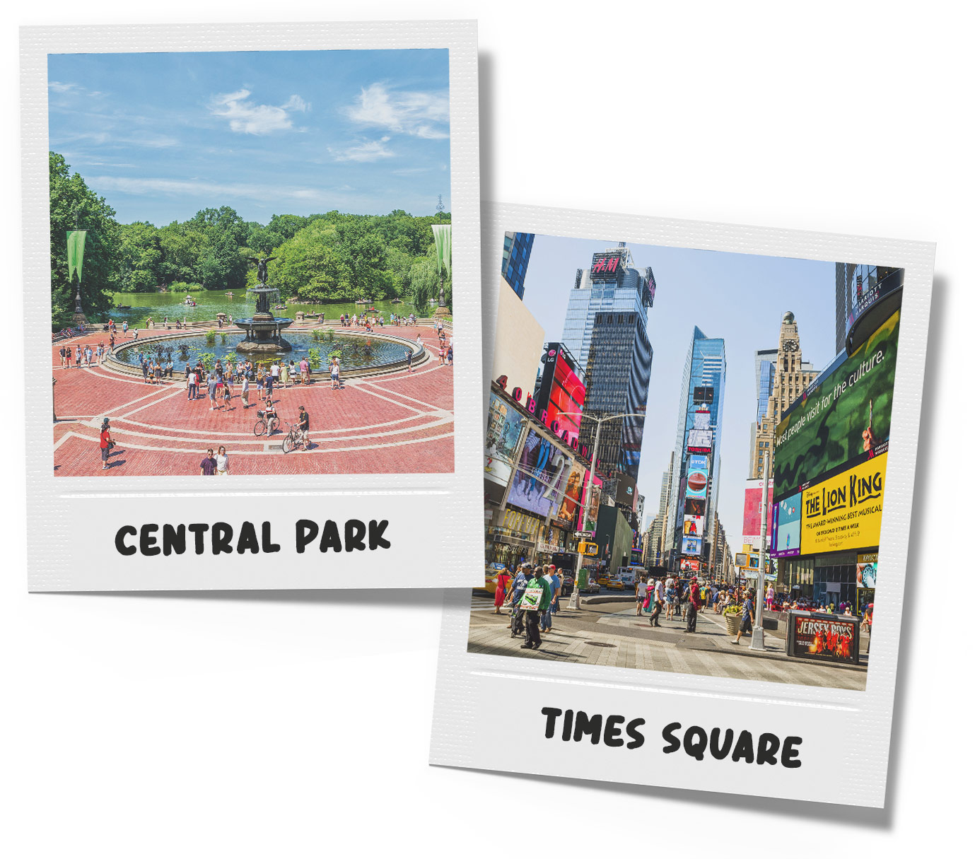 Polaroids van Central Park en Times Square in New York City