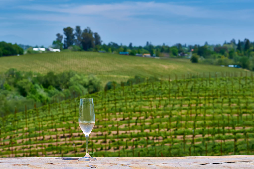 Wine tasting in Napa Valley