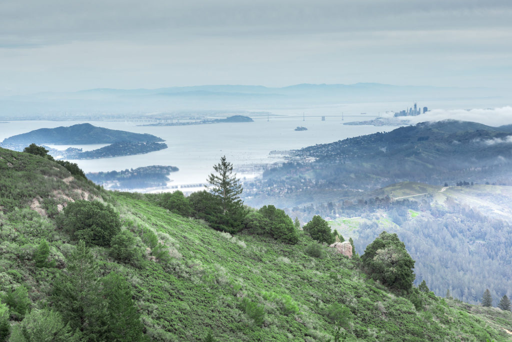 Mount Tamalpais