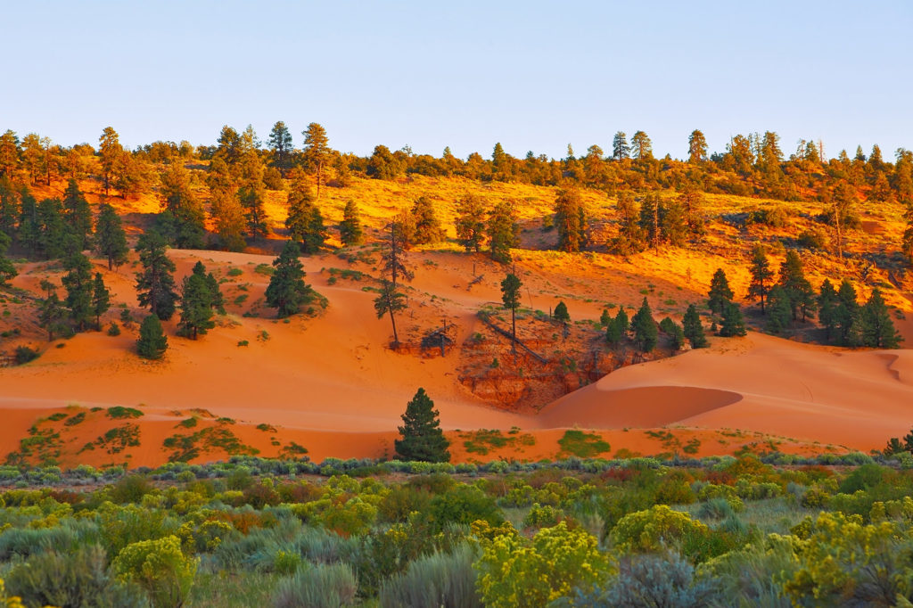 zonsondergang Coral Pink Sand Dunes State Park