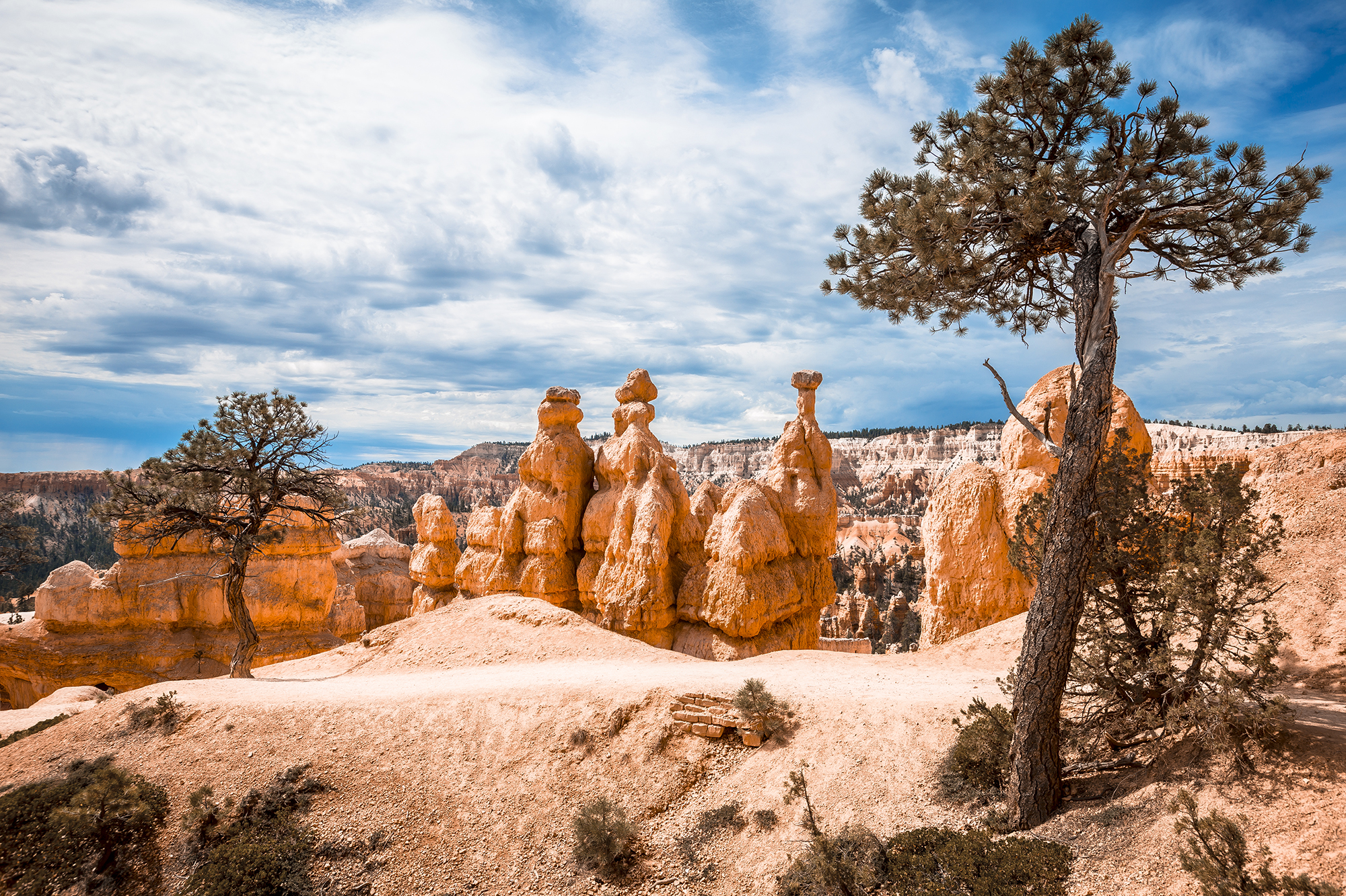 Bryce Canyon in de Amerikaanse staat Utah