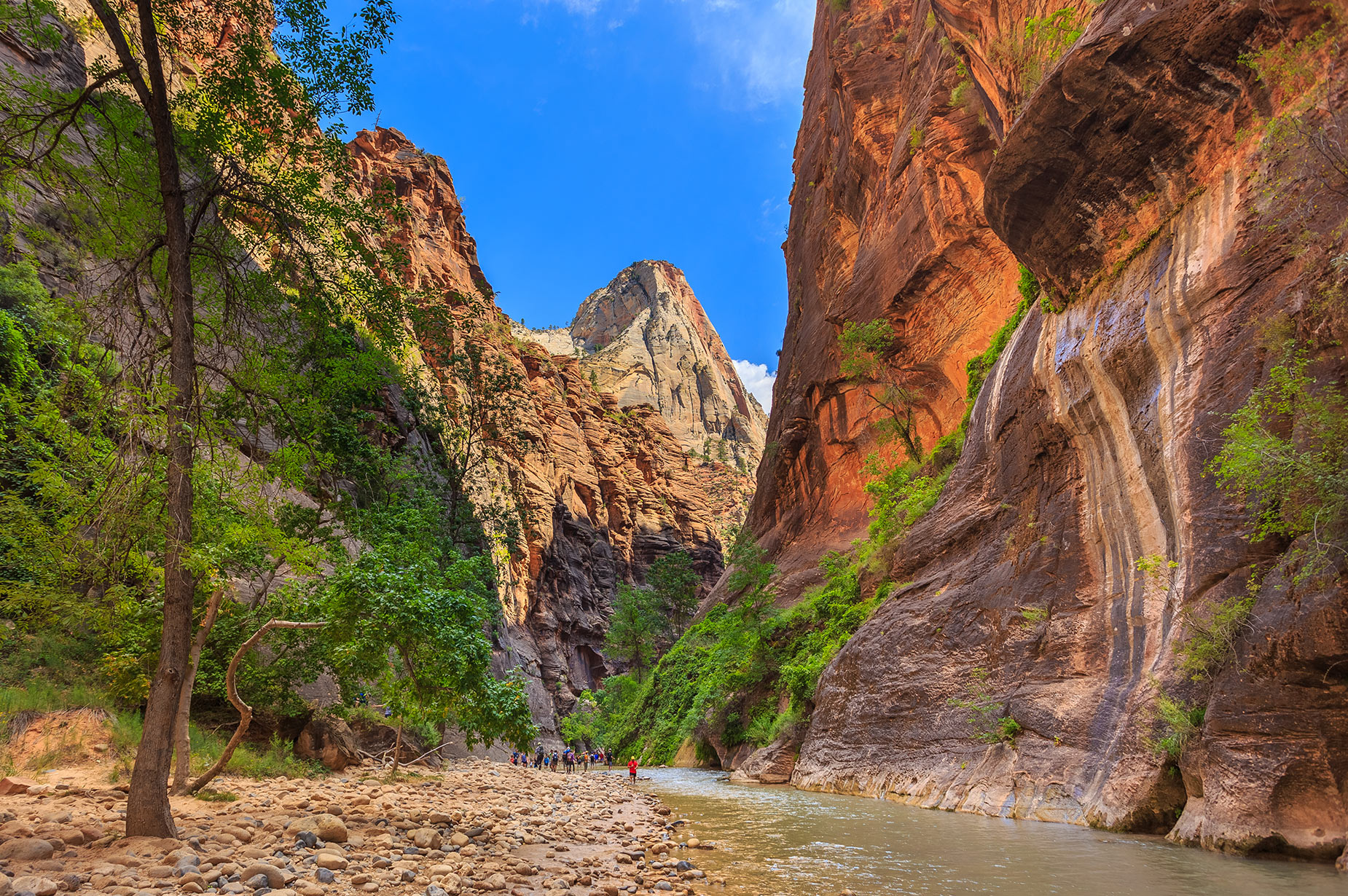 The Narrows in Zion National Park