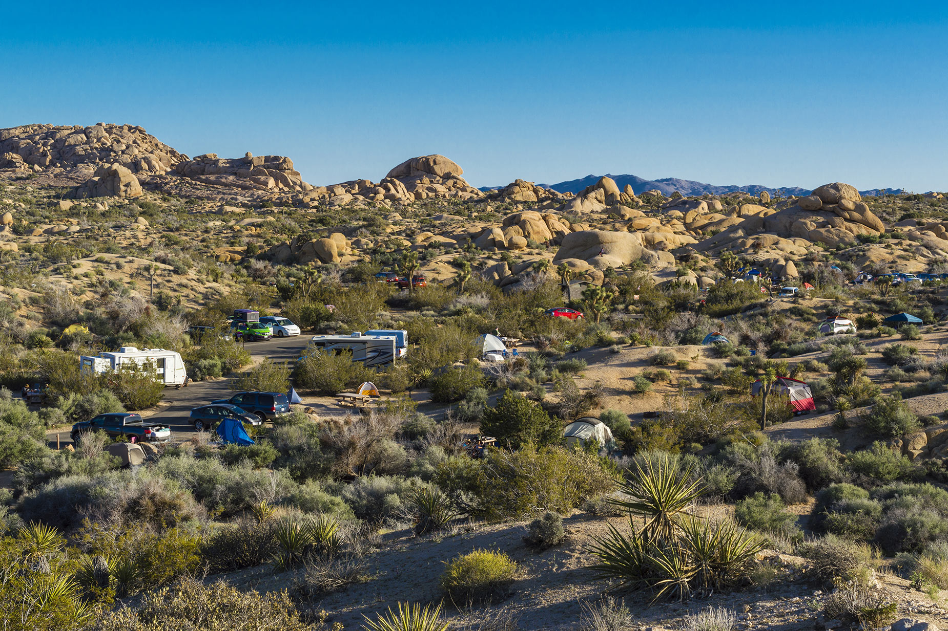 Kamperen in het Joshua Tree National Park