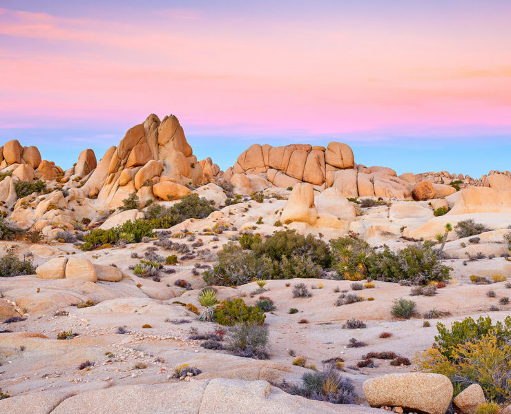 Overnachten in Joshua Tree National Park