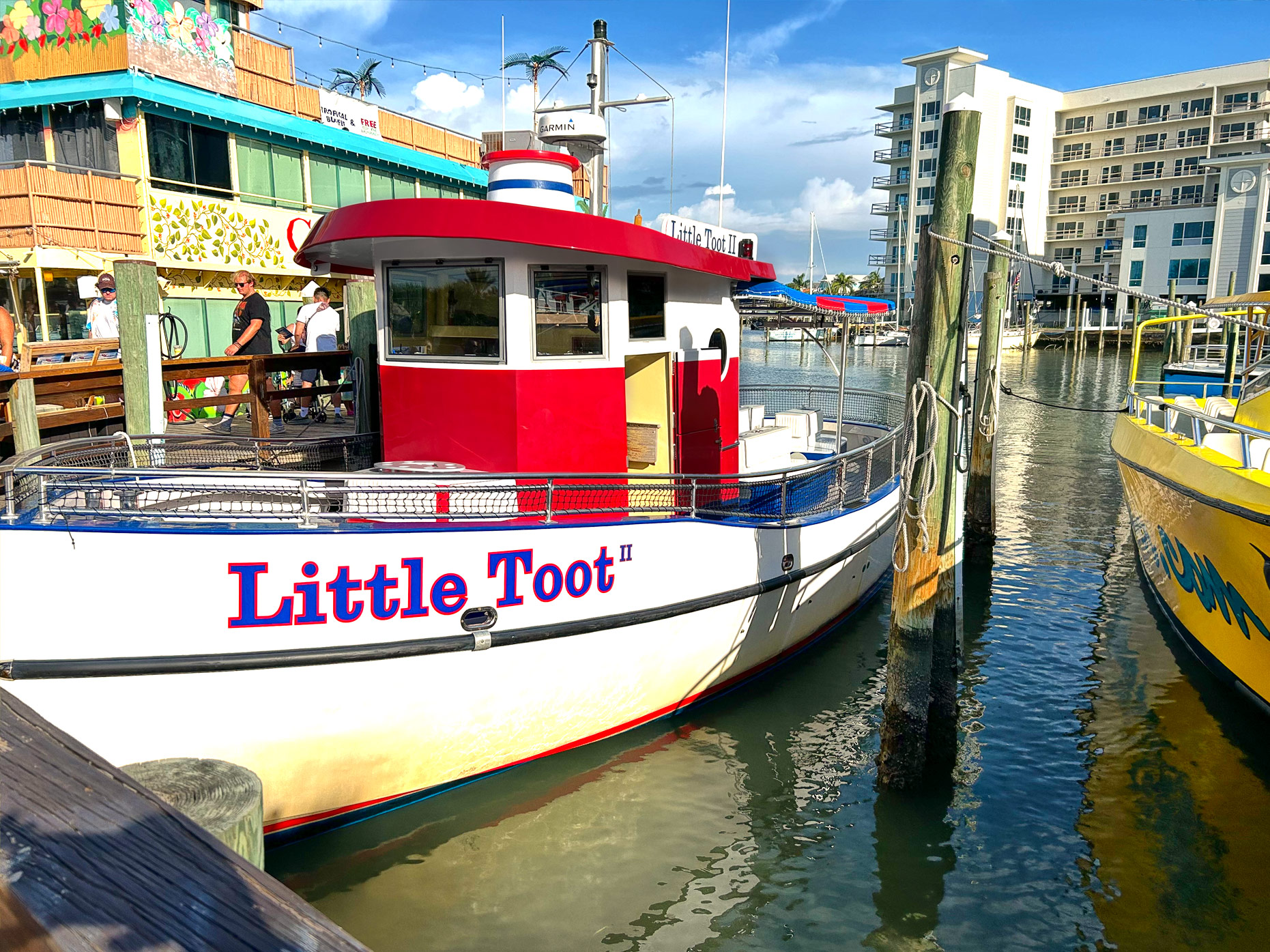 Dolfijnen spotten aan boord van Little Toot in Clearwater Beach Dolfijnen spotten aan boord van Little Toot in Clearwater Beach