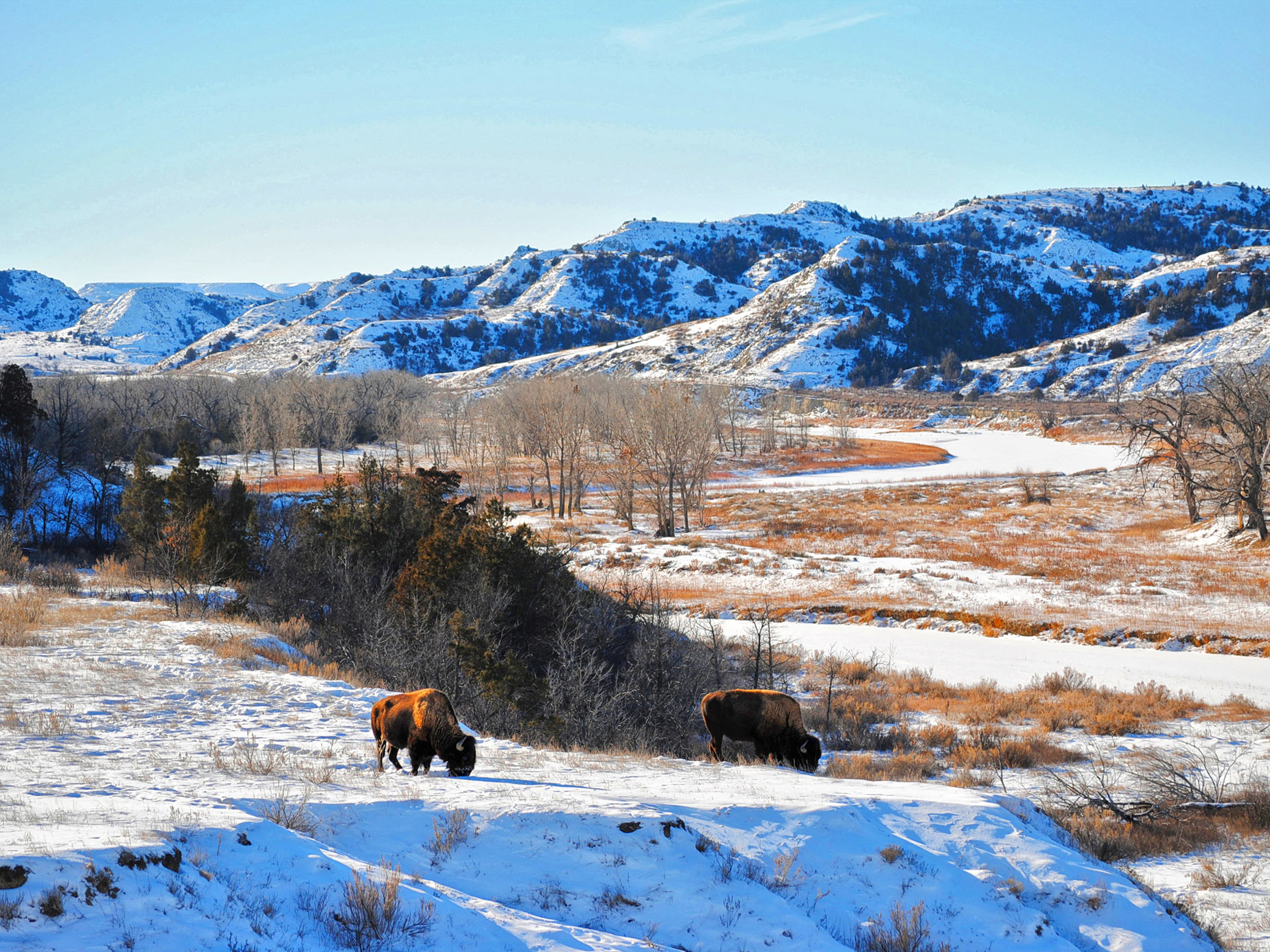Theodore Roosevelt National Park in de winter bedekt met sneeuw.