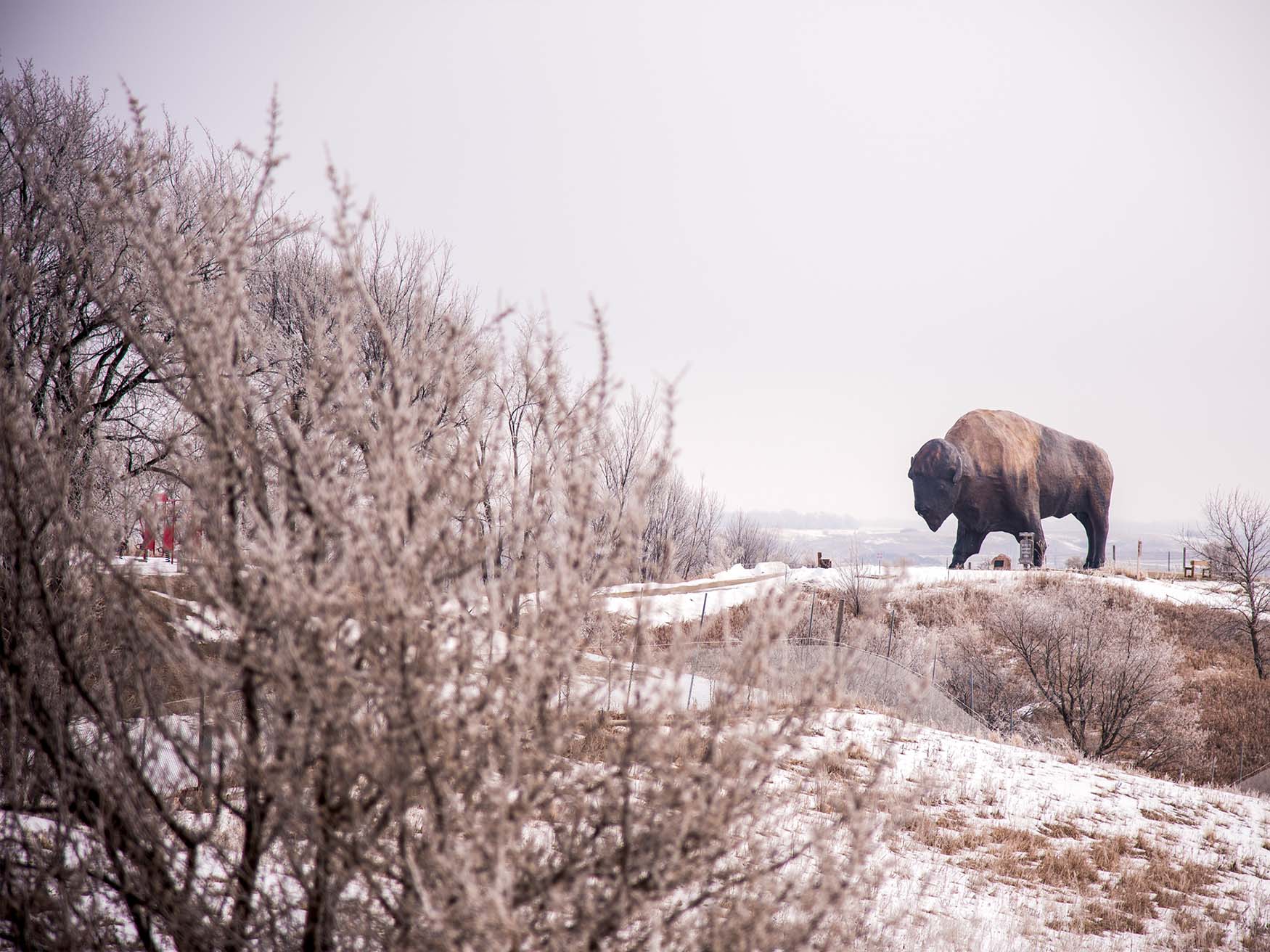 Dakota Thunder in Jamestown North Dakota Dakota Thunder in Jamestown North Dakota