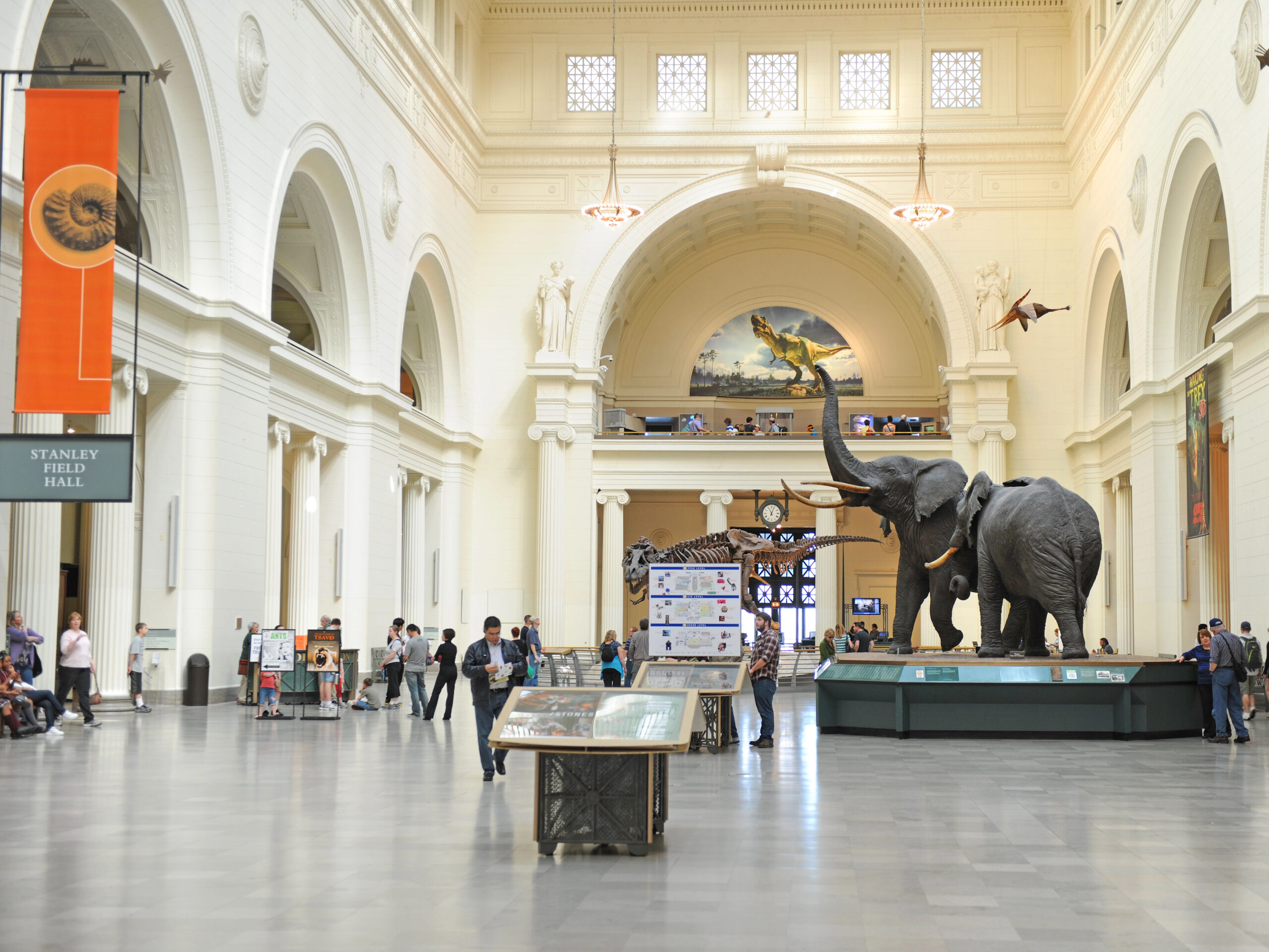 Field Museum in Chicago Field Museum in Chicago