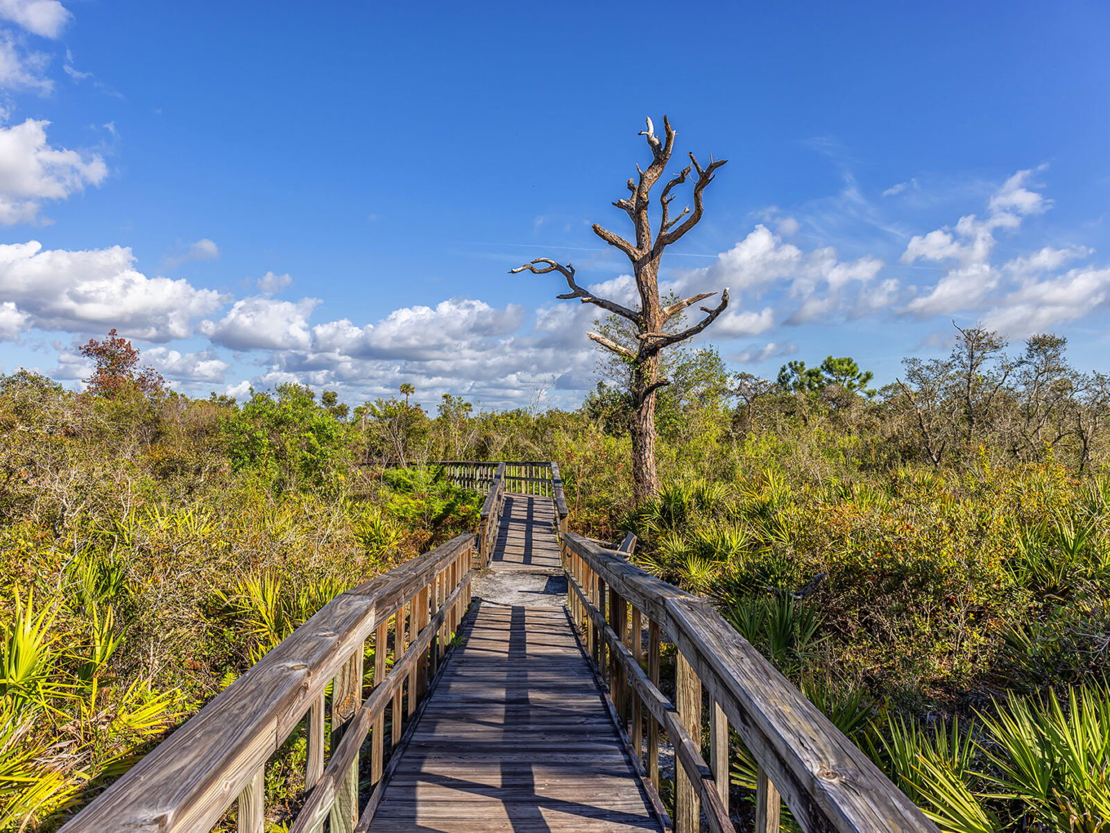 Briggs Boardwalk in het Rookery Bay National Estuarine Research Reserve