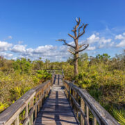 Briggs Boardwalk in het Rookery Bay National Estuarine Research Reserve