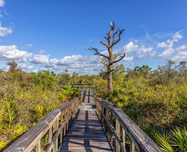 Briggs Boardwalk in het Rookery Bay National Estuarine Research Reserve
