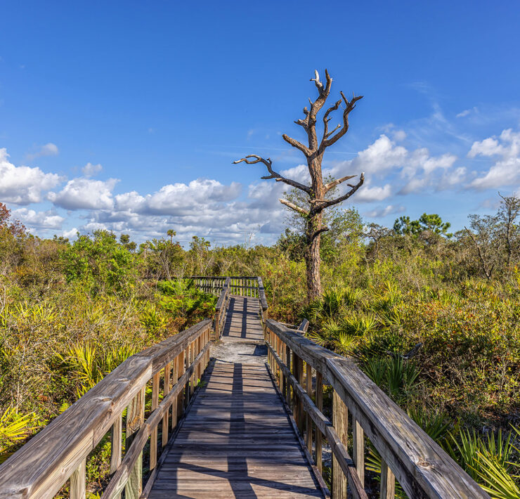 Briggs Boardwalk in het Rookery Bay National Estuarine Research Reserve