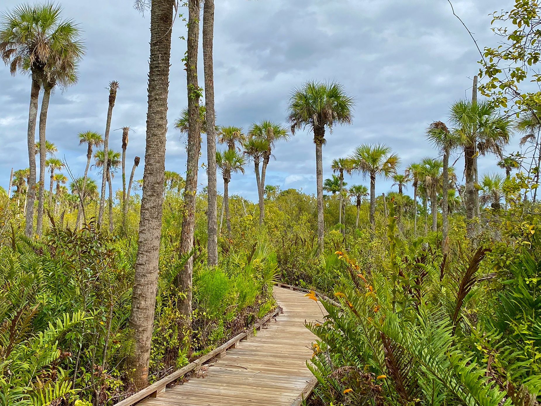 Collier-Seminole State Park