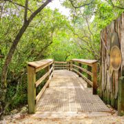 De Soto National Memorial