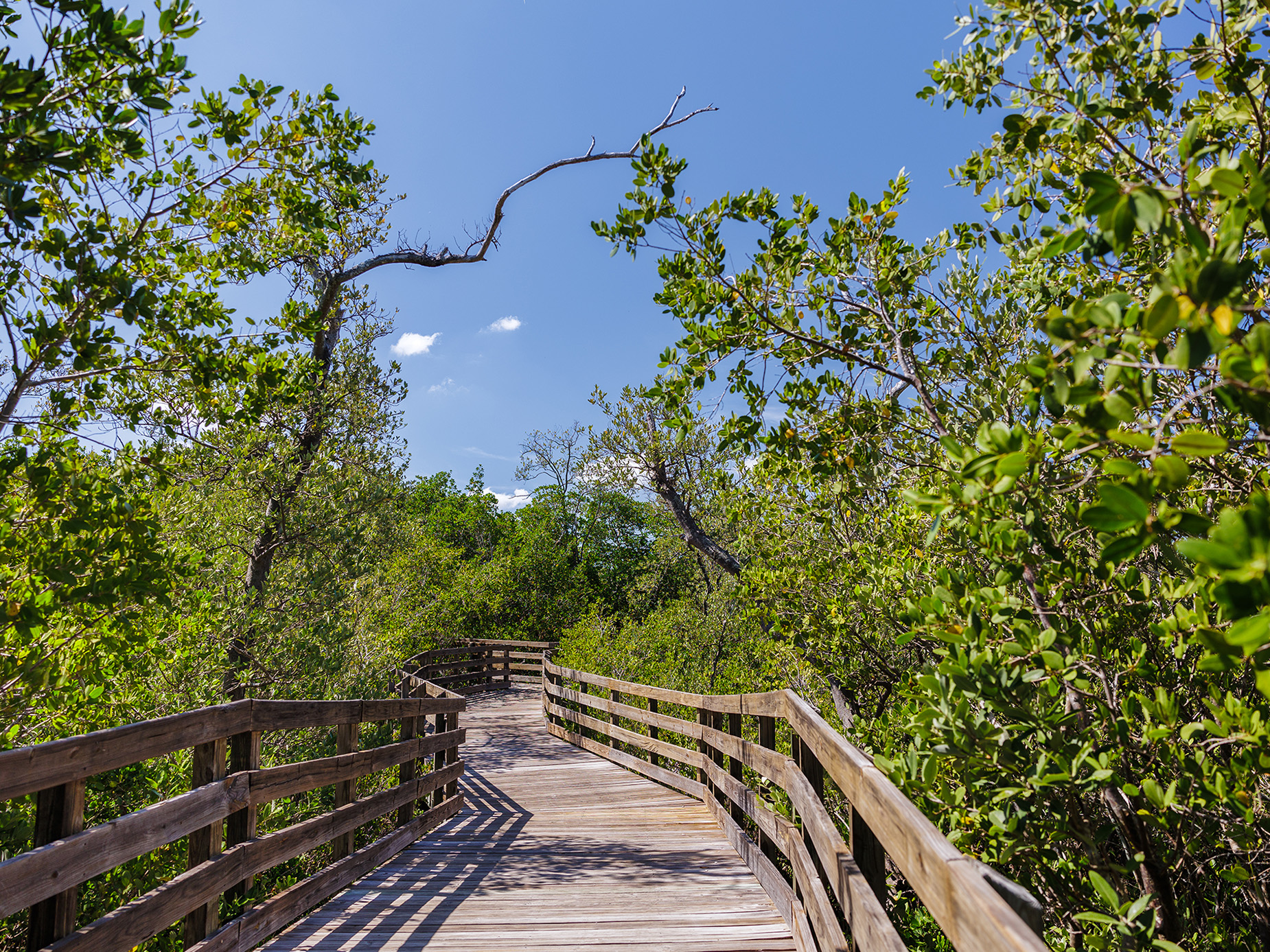 Emerson Point Reserve
