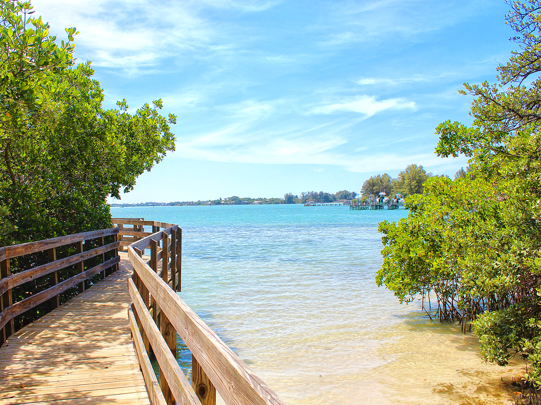 Mangroven rond Anna Maria Island