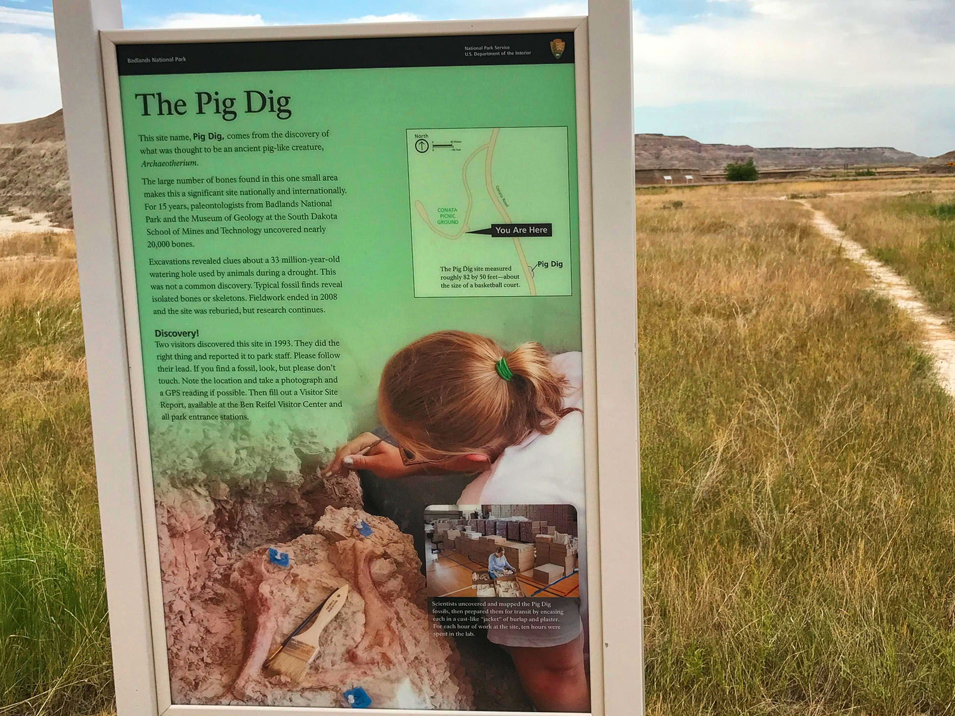 'The Pig Dig', de fossielen vindplaats van een neushoornachtig dier 'The Pig Dig', de fossielen vindplaats van een neushoornachtig dier
