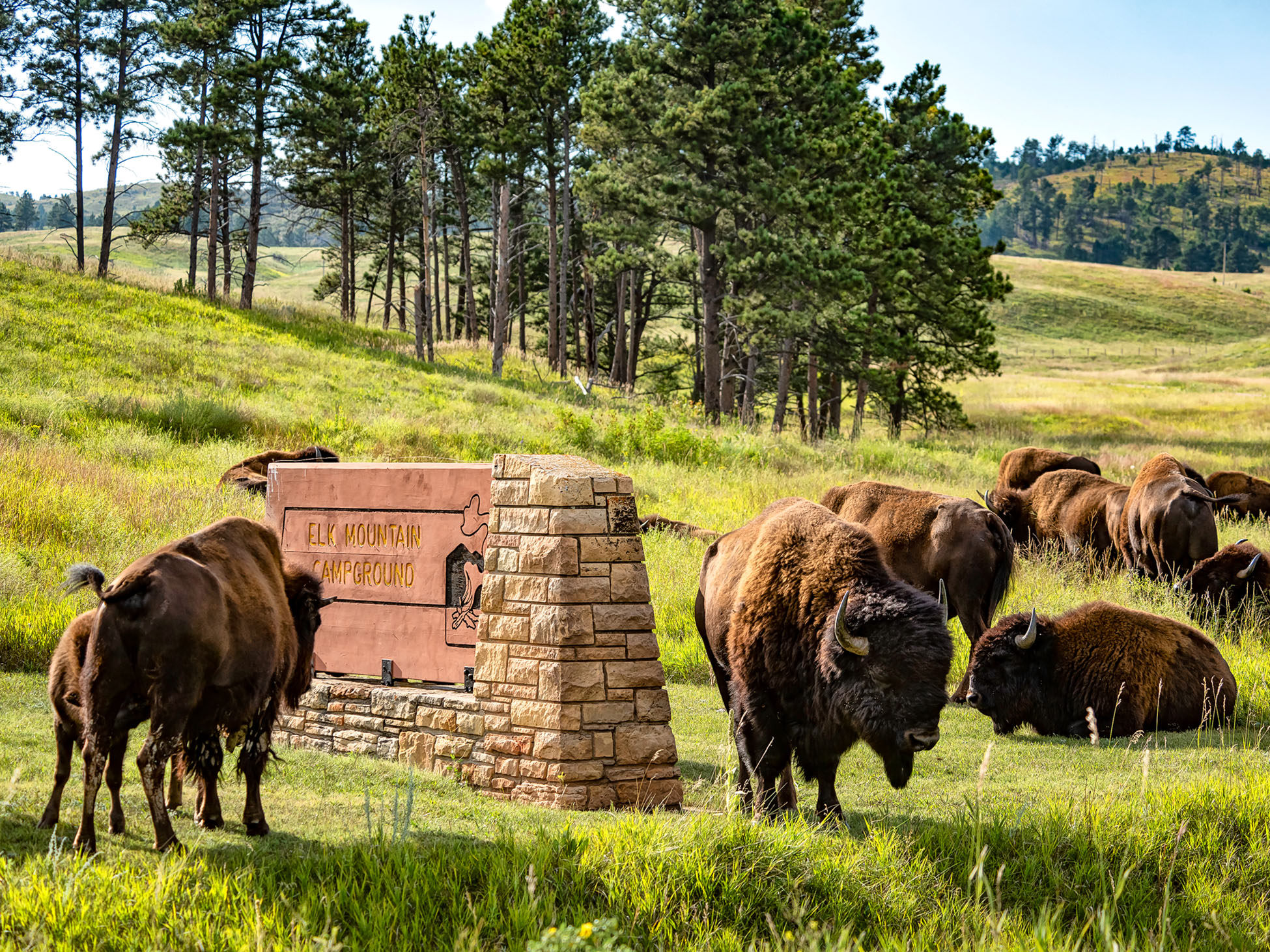 Windcave National Park in South Dakota